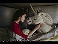 Juicy fruit : Unicorn serenades Sarah Silverman