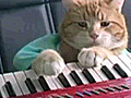 Keyboard Cat After Dentist