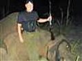 GoDaddy.com CEO under fire for shooting elephant