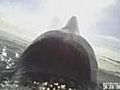 Penguins Offer Bird’s Eye View Of Antarctica