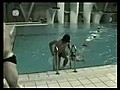 Havuza atlamanin böylesi !!