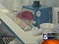 KTLA: Scramble to Stem E. coli Outbreak in Europe &amp;#8212; Micah Ohlman reports