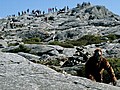 Bigfoot on Mt. Monadnock?