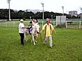 20100627大井競馬（至俊）