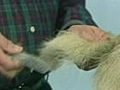 How to Groom the Tail - Cain Terrier
