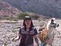 Caravana de Llamas,  Tilcara, Jujuy, Argentina