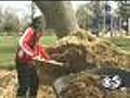 Hispanic Kids Clean Up Joannes Park