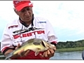 Fishing - How to Cast a Spinning Reel