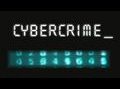 Cybercrime - Angriffe aus dem Netz