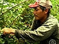 Georgia migrant workers fear new...