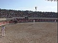 Course Camarguaise: Finale Trophée de l’Avenir Espoir