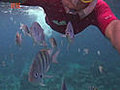 Cayman Islands: Visit Grand Island