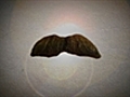 You’ve Just Been Stache&#039;d!