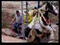 Raw: Horse Rescued From Calaveras County Well