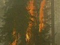 俄羅斯山火繼續受控　美國首批物資運抵