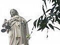 中大調查：政改方案支持比率未過半數