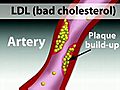 A Guide to Cholesterol- Heart Healthy Foods