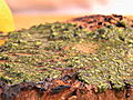 TLC Cooking Summer Kitchen: Chimichurri Sauce