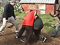 Gang fight knockout