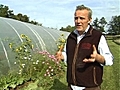 Le potager des délices d&#039;Alain Passard