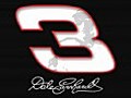 Dale Earnhardt Tribute