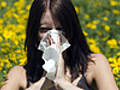 Study: Allergies Decrease Worker Productivity