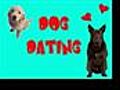 Dog Dating