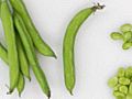 How to Buy and Clean Fava Beans