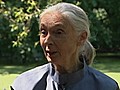 Jane Goodall: The Woman Who Redefined Man