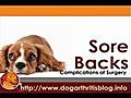 Complications of Dog ACL Surgery