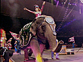 Biography: Ringling Brothers,  Part 6