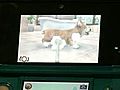 Nintendogs Plus Cats 3DS Footage