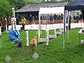 NRW Flyball Cup 2010