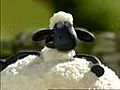 Shaun The Sheep