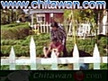 Nepali Movie Ram Laxman