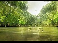 A Turtle’s Tale - Trailer