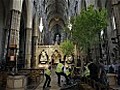 Royal wedding: 20ft trees delivered to Westminster Abbey