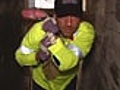 Dirty Jobs: Chinatown Garbage Collector