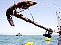 Blackbeard’s anchor recovered off US coast