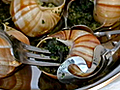 Prepare and Serve Escargot Bourguignon