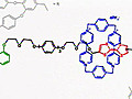 Biomedical Research - The Daunert Group