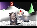 Jingle Cats Silent Night