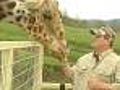 Wildlife Safari for spring break