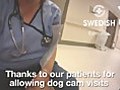 Dog Cam #15 Swedish/Edmonds Therapy Pup