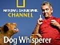 Dog Whisperer: Rescue Training