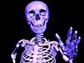 Skeleton Unning Loop Upper Front Stock Footage