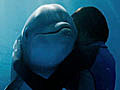 Dolphin Tale Trailer