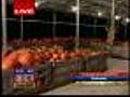 People Are Talking: Weber’s Pumpkins