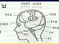 서울아산병원 신경과 김종성 교수 - 뇌를 건강하게 - 01