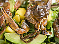 Soft-Shell Crabs on the Grill